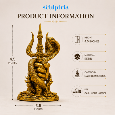 Nagadhari Mahadev Trishul
